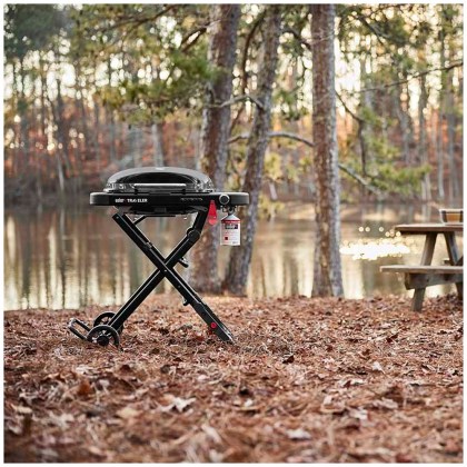 Weber Traveler Compact Portable Gas Grill