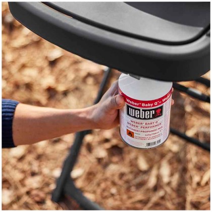 Weber Traveler Compact Portable Gas Grill