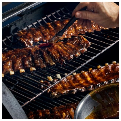 Wood Pellet Grill Smokefire EX6 GBS